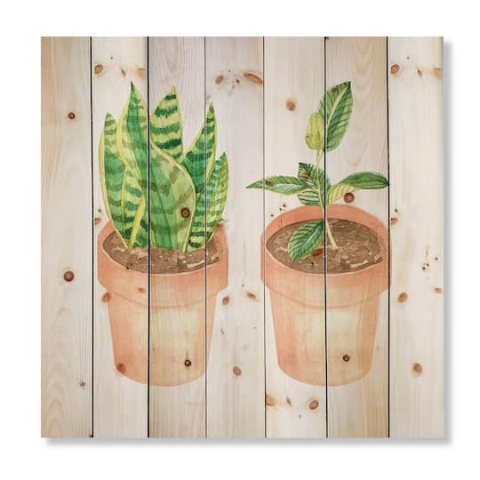 Designart - Sansevieria & Ficus Indoor Green Home House Plants